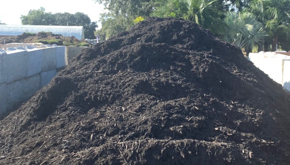 black mulch