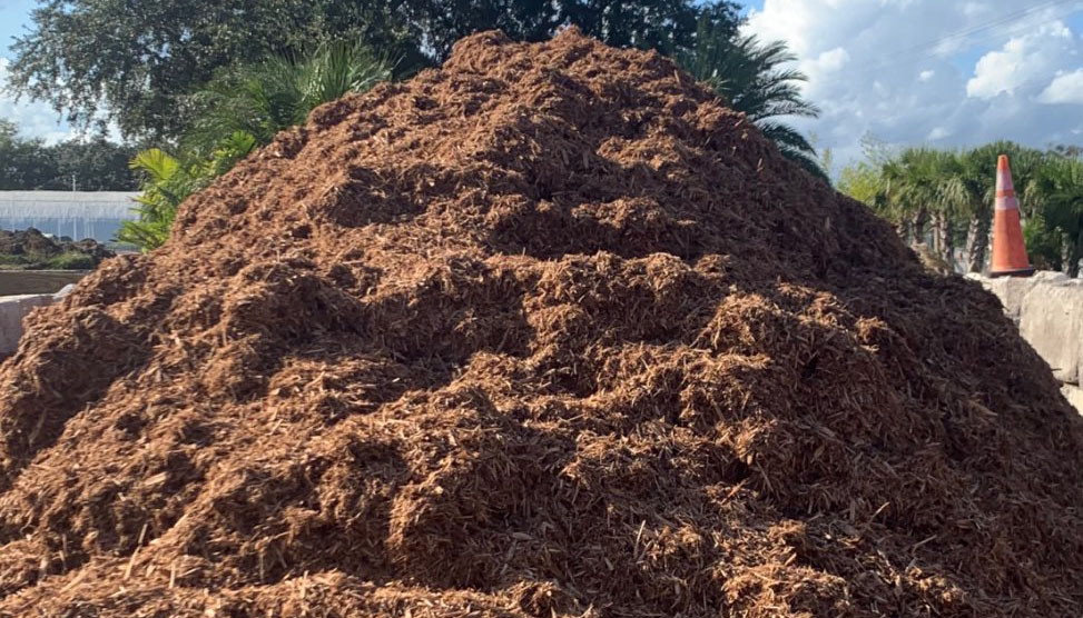cypress mulch